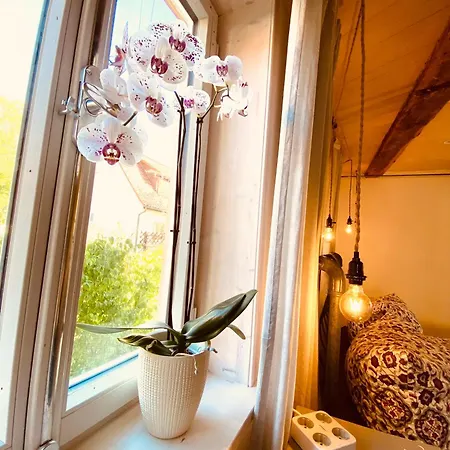 Tranquil Ground Floor Apartment: Dog-friendly With Modern Comforts Apartment