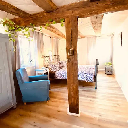 Apartment Tranquil Ground Floor Apartment: Dog-friendly With Modern Comforts
